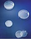 Piastre Petri monouso sterili Dia.90mm - Cf.20